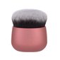 Brushes Foundation