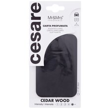 Cesare Scented