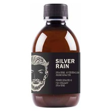 Silver Rain