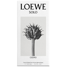 Solo Loewe