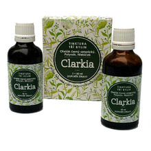 Clarkia -