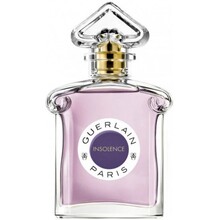 Insolence EDP