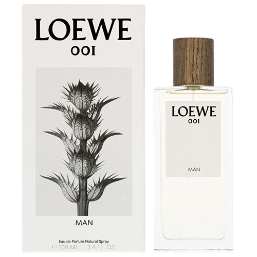 Loewe 001