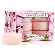 Cherry Blossom