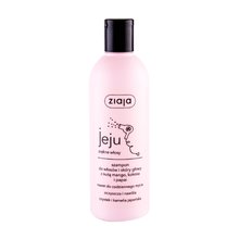 Jeju Shampoo