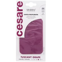 Cesare Scented