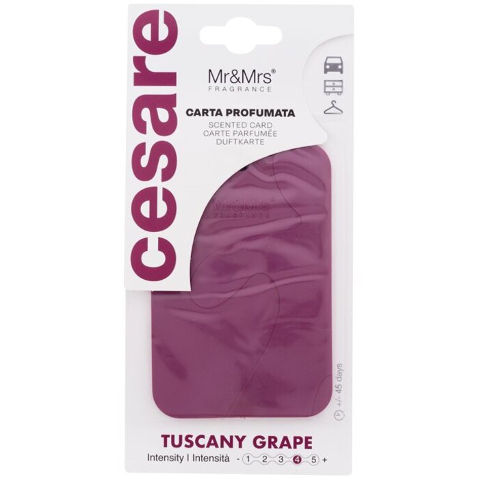 Cesare Scented