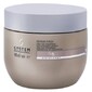 Repair Mask