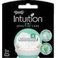 Intuition Sensitive