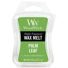 Palm Leaf