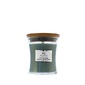 Mint Leaves