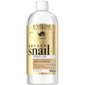 Royal Snail