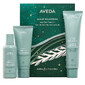 Scalp Solutions