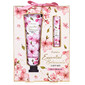 Cherry Blossom