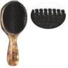 Barber Palm