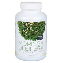 Moringa oleifera