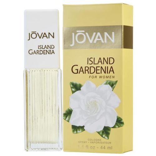 Island Gardenia