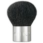 Brush For