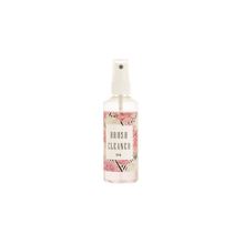 Brush Cleanser