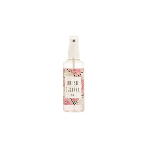 Brush Cleanser