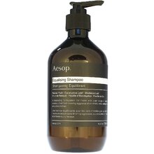 Equalising Shampoo