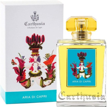 Aria di