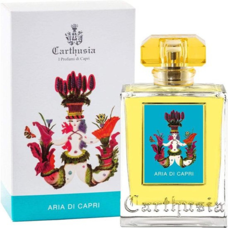 Aria di