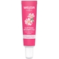Wild Rose