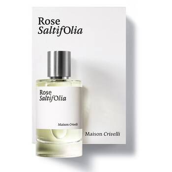 Rose SaltifOlia