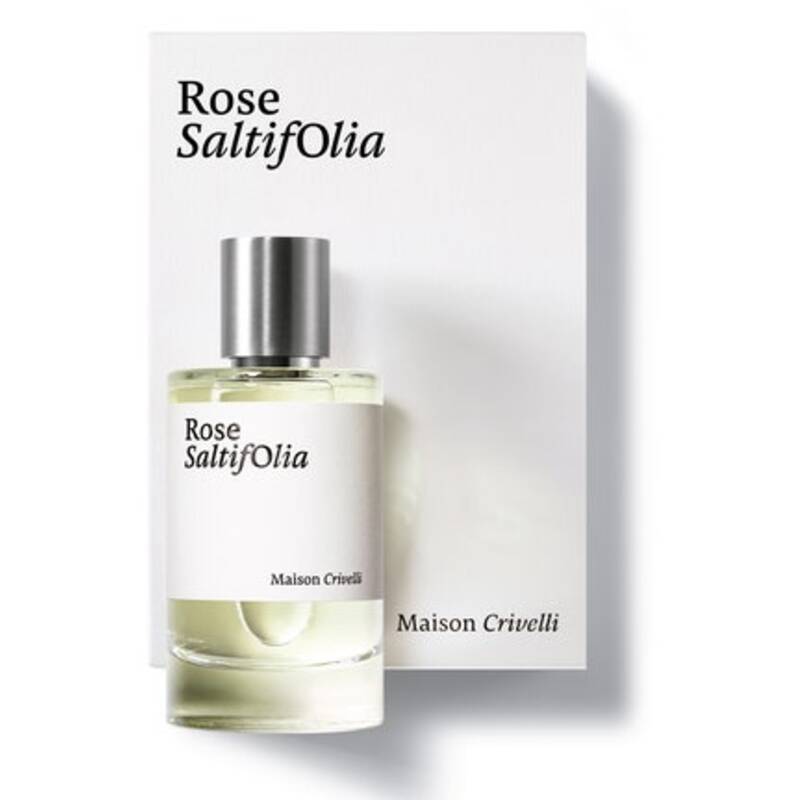 Rose SaltifOlia