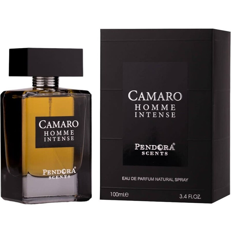 Camaro Homme