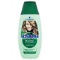 Schauma 7