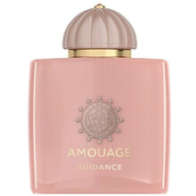 Guidance EDP