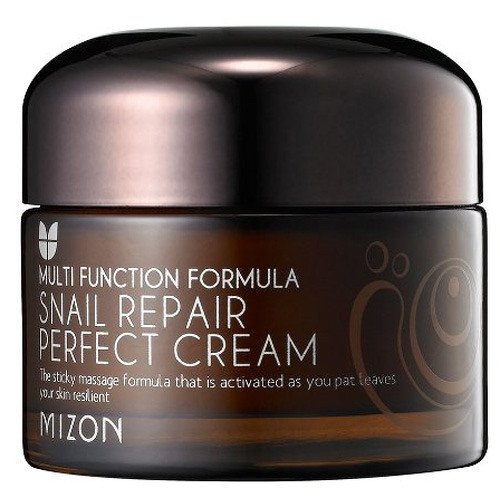 Snail Repair
