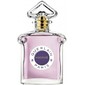 Insolence EDP