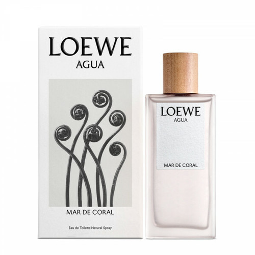 Loewe Agua